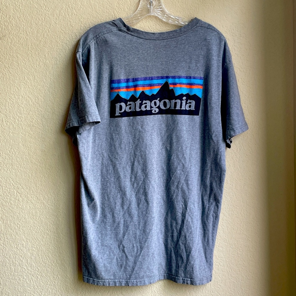 Patagonia Tee, Regular Fit